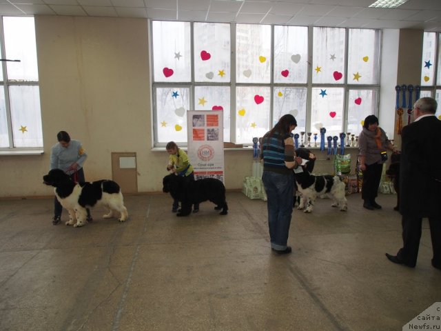 Фотография № 114759