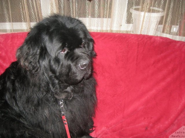 Фотография № 114769