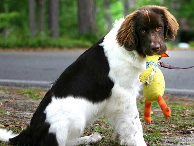 Фотография № 114844