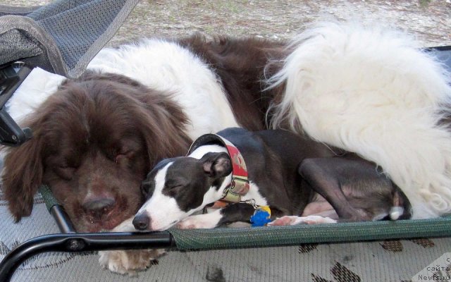 Фотография № 114845