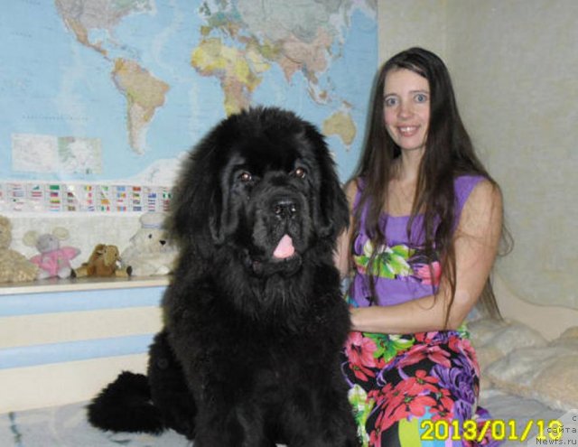 Фотография № 114958