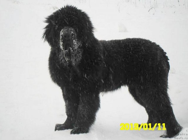 Фотография № 114960