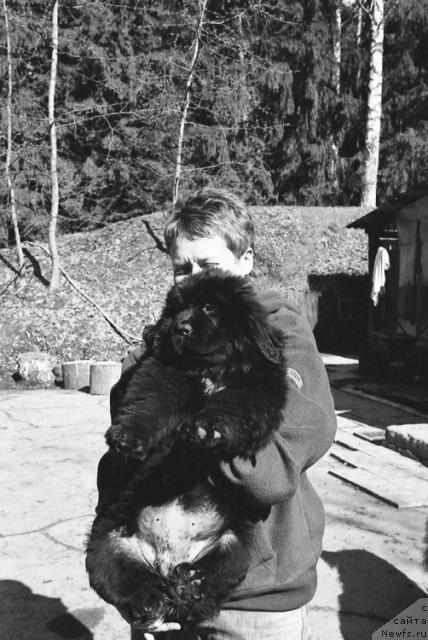 Фото: YUliya Mityuhina (Юлия Митюхина)