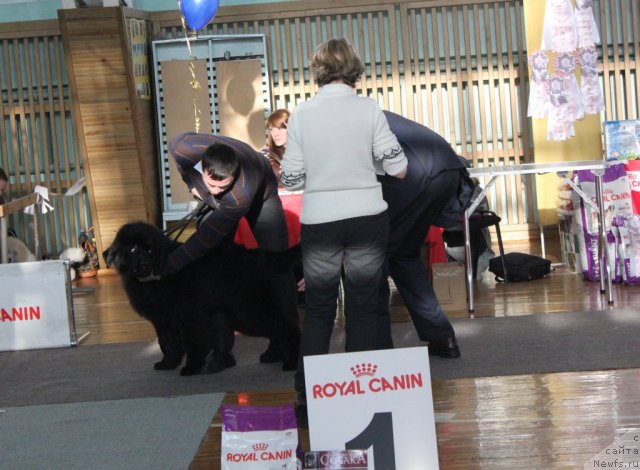 Фотография № 114986