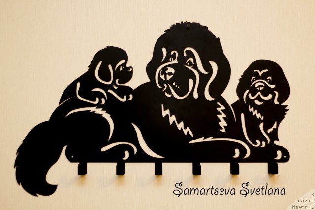 Фотография № 114995