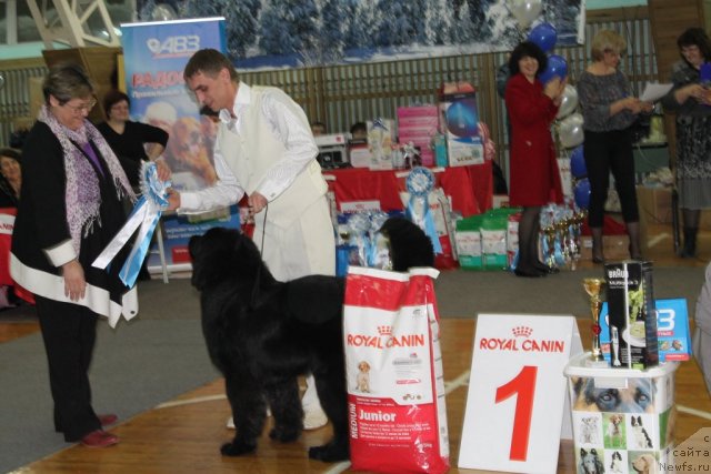 Фотография № 114998