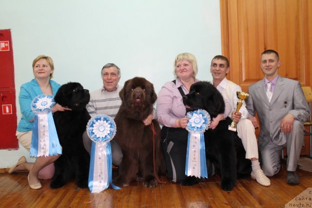 Фотография № 115000