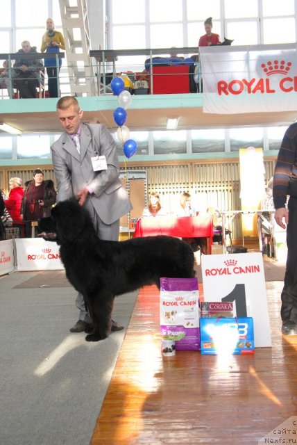 Фотография № 115032