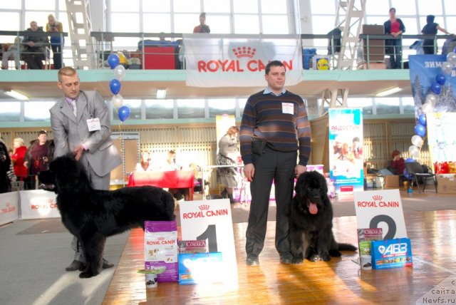 Фотография № 115033