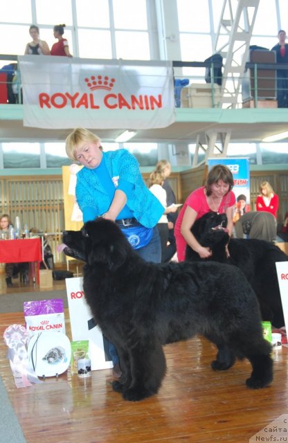 Фотография № 115035