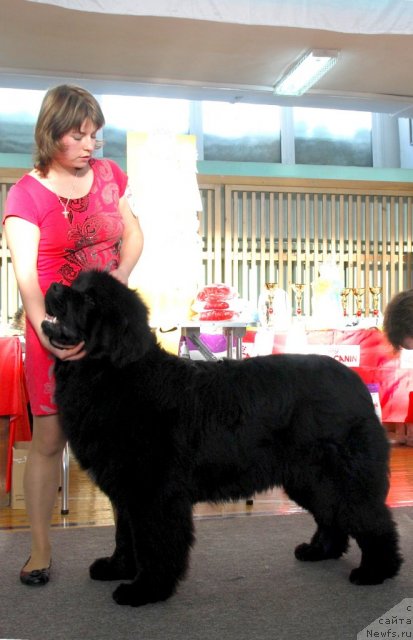 Фотография № 115037