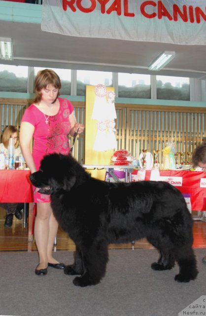 Фотография № 115038