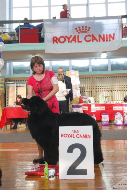 Фотография № 115039