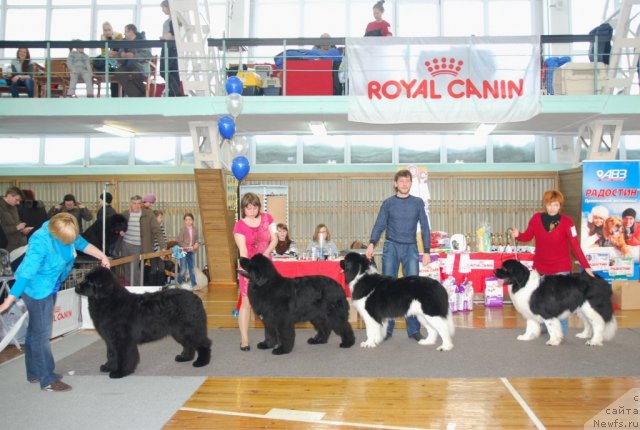 Фотография № 115044