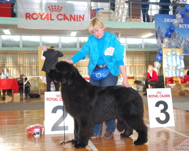 Фотография № 115047