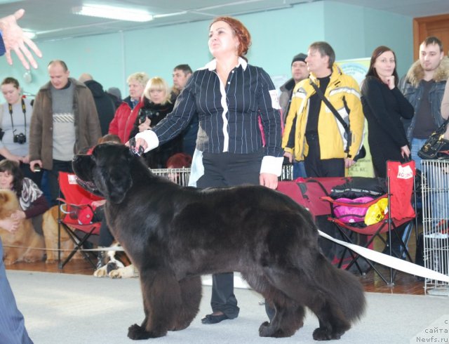 Фотография № 115049