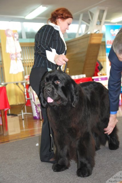 Фотография № 115050