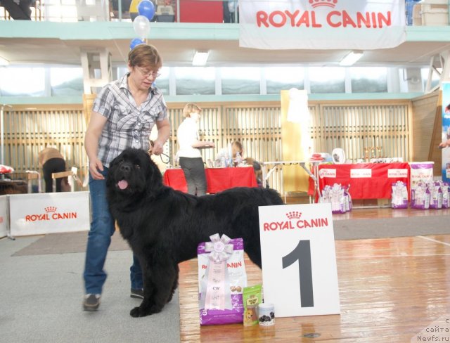 Фотография № 115055