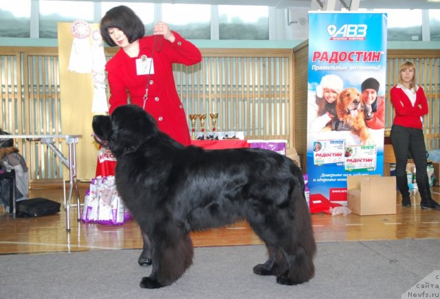 Фотография № 115056