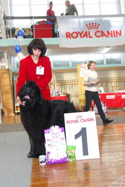 Фотография № 115058