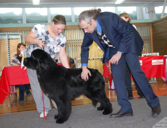 Фотография № 115059