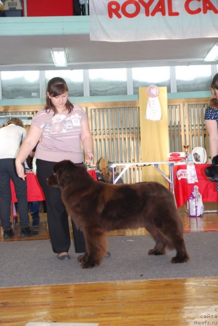 Фотография № 115066