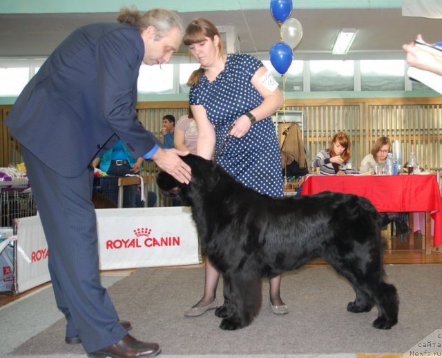 Фотография № 115068