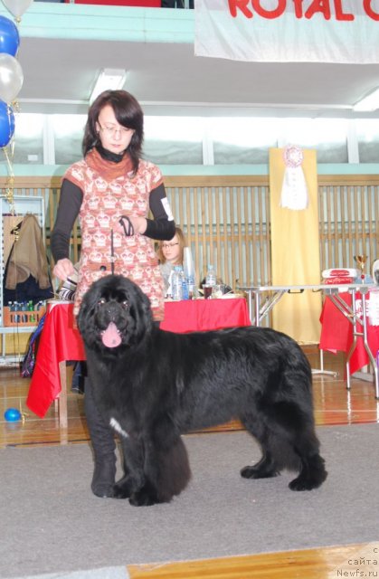 Фотография № 115073