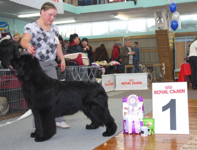 Фотография № 115079