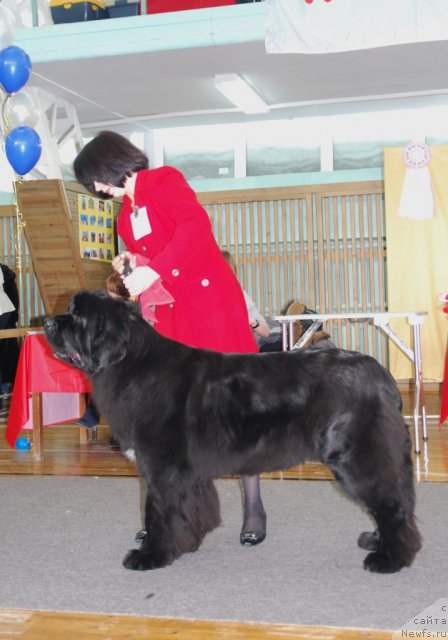 Фотография № 115080