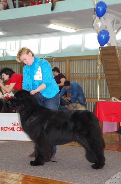 Фотография № 115083