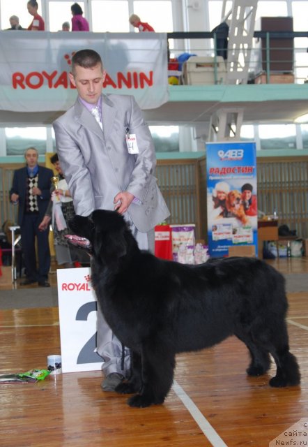 Фотография № 115086