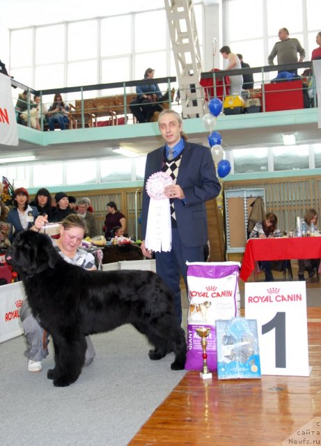 Фотография № 115091