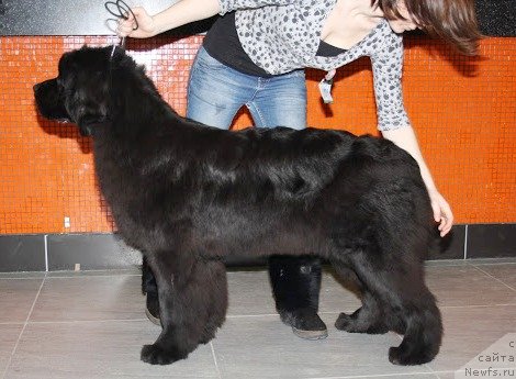 Фотография № 115144