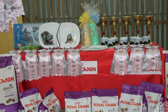 Фотография № 115162