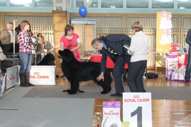 Фотография № 115168