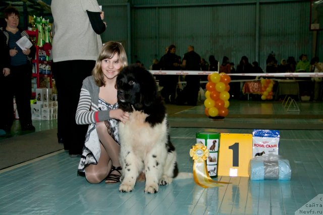 Фотография № 115203