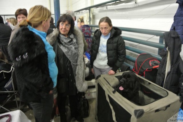 Фотография № 115221