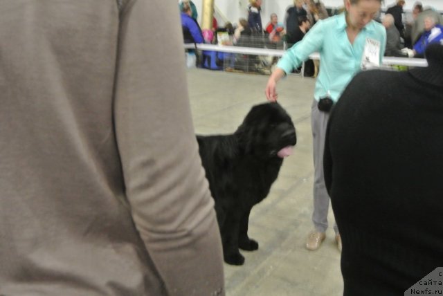 Фотография № 115223