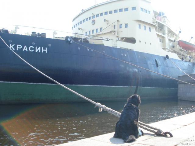 Фотография № 11525