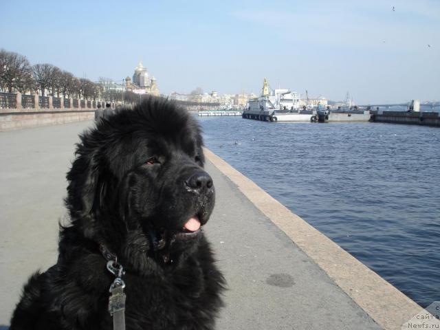 Фотография № 11526