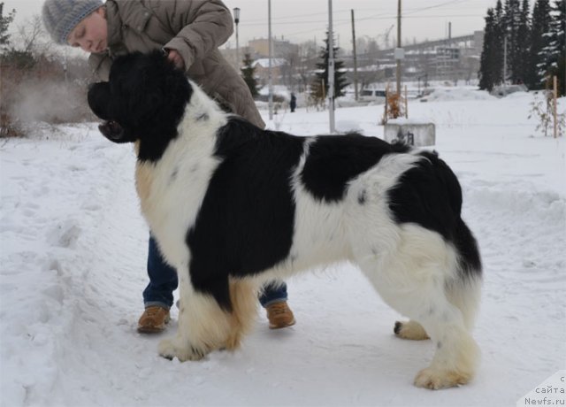 Фотография № 115262