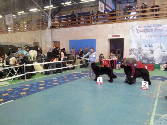 Фотография № 115271