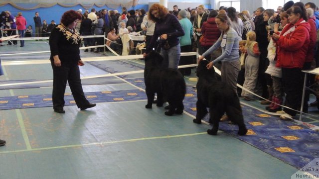 Фотография № 115273