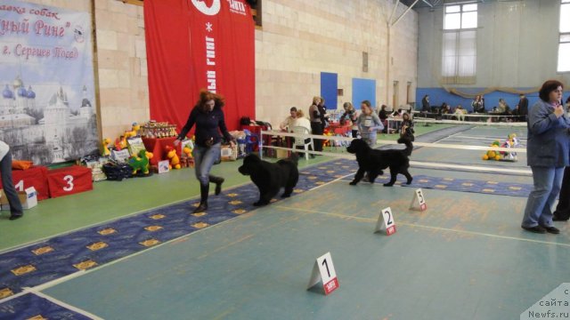 Фотография № 115274