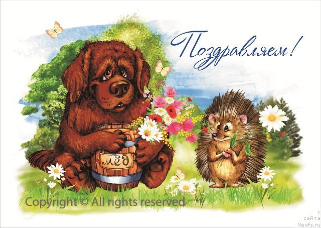 Фотография № 115364