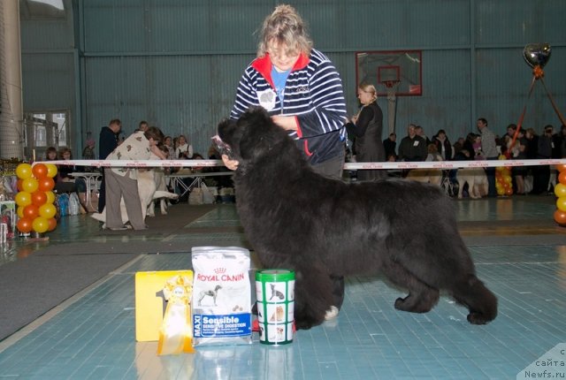 Фотография № 115370