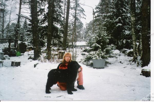 Фото: ньюфаундленд Plyushevaya Panda Ingiborg (Плюшевая Панда Ингиборг)