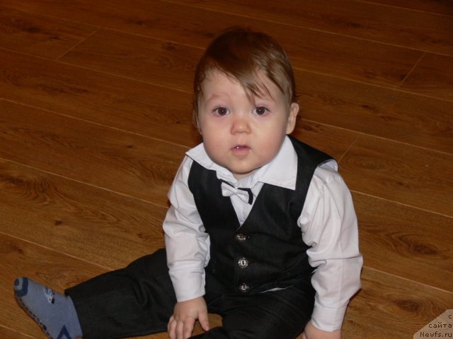 Фотография № 115392