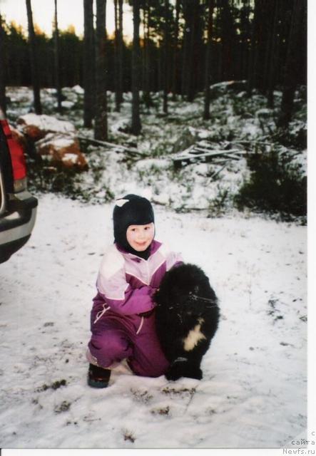 Фото: ньюфаундленд Plyushevaya Panda Ingiborg (Плюшевая Панда Ингиборг)